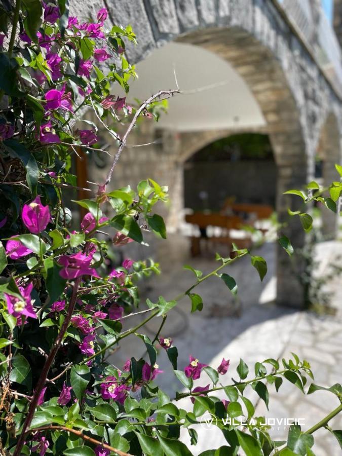 Aparthotel - Villa Jovicic Herceg Novi Eksteriør billede